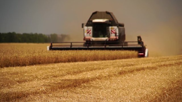Blurred сombine harvester for harvesting wheat. Slow motion