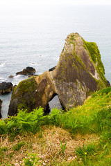Spectacular view of the southern Irish coastline landscape in the Spring