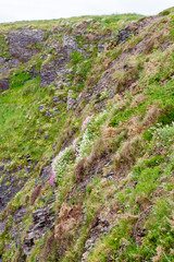 Spectacular view of the southern Irish coastline landscape in the Spring