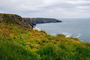 Spectacular view of the southern Irish coastline landscape in the Spring 