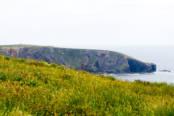 Spectacular view of the southern Irish coastline landscape in the Spring 