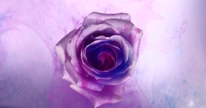 Top view of the colorful spreading paint on a beautiful spinning flower.