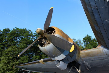 Rotary engine of Douglas Dakota DC-3 C-47 WWII plane exhibit situated in local forest and available...