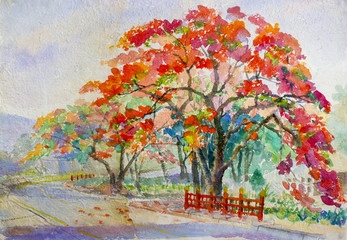  Painting original landscape red, orange color of peacock flowers tree