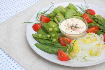 春野菜のバーニャカウダ風サラダ
