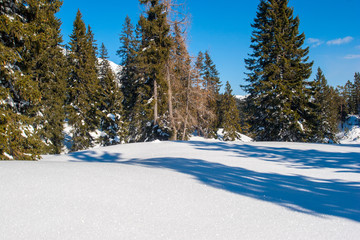 realy winter in Achenkirch