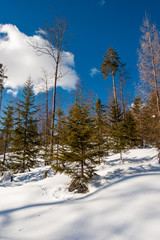 really wintwer in Achenkirch