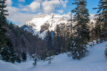 really wintwer in Achenkirch