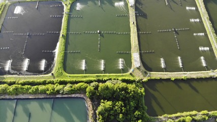 Aerial view of shrimp farm and air purifier in Thailand. Continuous growing aquaculture business is...