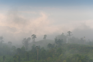 misty landscape scenery with layers of rainforest hills at morning in Ranau Sabah Malaysia