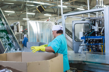 Fototapeta premium Working on bottle industry