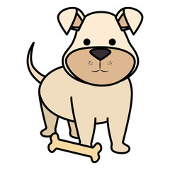 Obraz na płótnie Canvas cute dog pet with bone character
