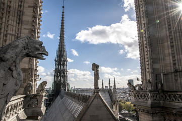 Fototapeta na wymiar Gargoyle with city Paris