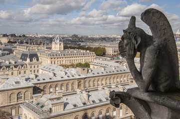 Fototapeta premium Gargoyle with city Paris