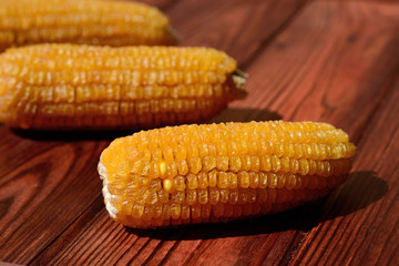 Corn of the last harvest lie on a wooden background
