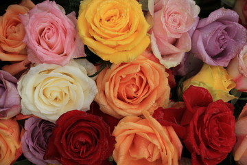 Mixed wedding roses