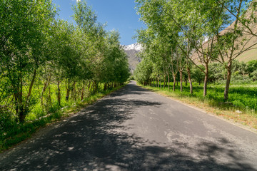 Fototapeta na wymiar Road in Suru Valley, Ladakh