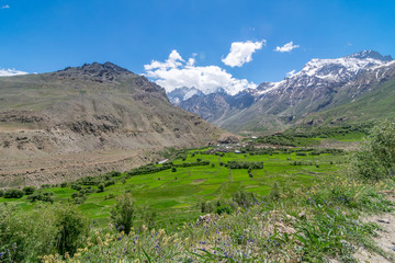 Fototapeta na wymiar Suru Valley, Ladakh