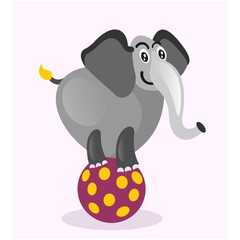 cute fat big chubby elephant balancing ball mascot cartoon character