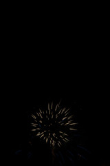 Fototapeta premium Independence Day Fireworks Firing in Black Night Sky