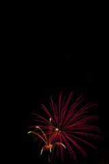 Fototapeta premium Independence Day Fireworks Firing in Black Night Sky