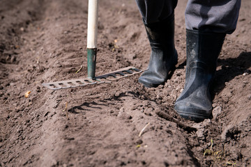 Cultivating garden with hand raker, geting ready for planting season, man in rubber boots