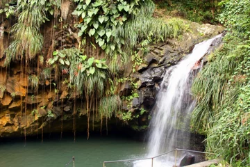  Annandale waterfall on the Caribbean island of Granada © crlocklear