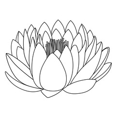 Outlined lotus pattern flower