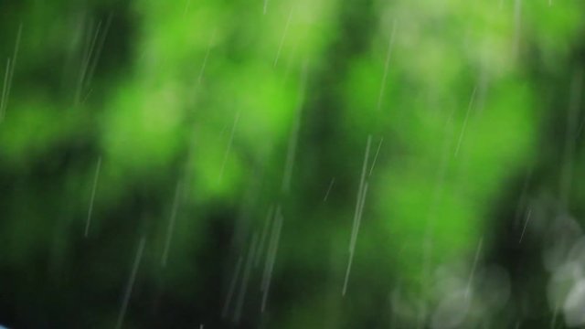 自然の緑ぼかし背景と雨音