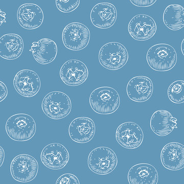 Seamless Pattern with Blueberry