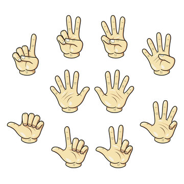 Cartoon illustration of counting with fingers hand.