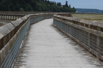 Fototapeta premium The long walk