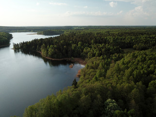 Forest by lake