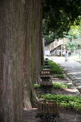 Peaceful summer park with a sidewalk. Bench under the tree in the park
