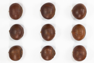 Chestnut , roasted beans brown color on white background .