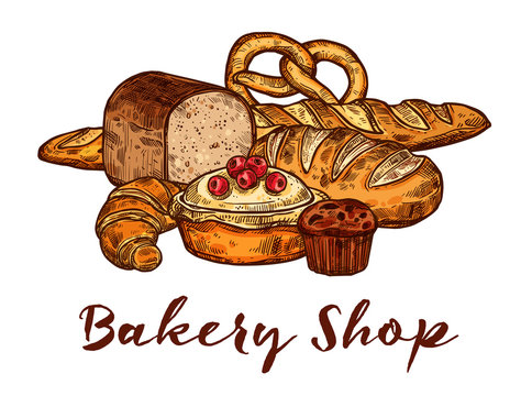 Bakery shop sketch of wheat bread and pastry food