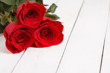 beautiful three red roses