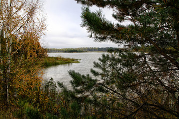 Obraz premium Autumn colours trees near the calm lake