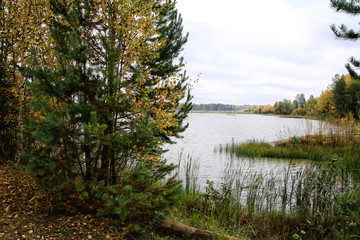 Fototapeta na wymiar Autumn colours trees near the calm lake