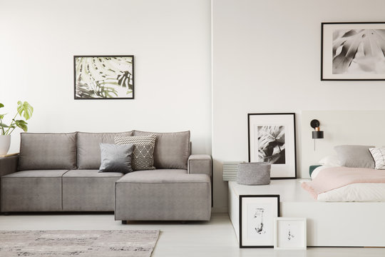 Real photo of a grey sofa with cushions standing next to a white platform bed in monochromatic small flat interior with posters on the walls