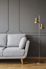 Golden floor lamp and a gray, comfortable couch in an elegant living room interior with molding on...