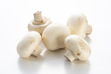 マッシュルーム