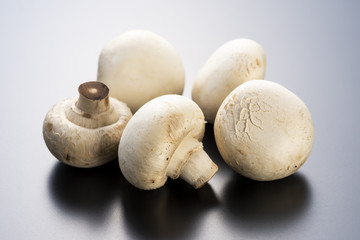 マッシュルーム