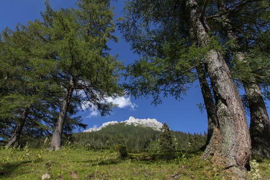 mountain leobner mauer on hochschwab, styria,austria