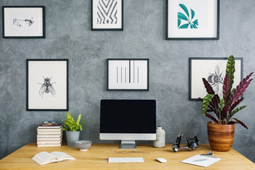 Simple posters hanging on grey raw wall in study corner living room interior with wooden desk with mockup monitor, fresh plants and books