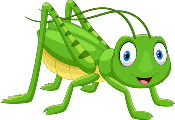 Cute grasshopper cartoon isolated on white background - 212041403