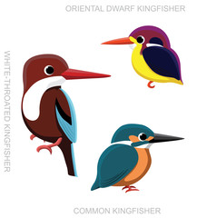 Bird Kingfisher Set Cartoon Vector Illustration