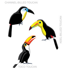 Bird Toucan Set Cartoon Vector Illustration