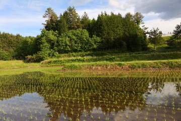 東北の田園風景