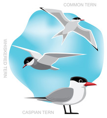 Naklejka premium Bird Tern Set Cartoon Vector Illustration